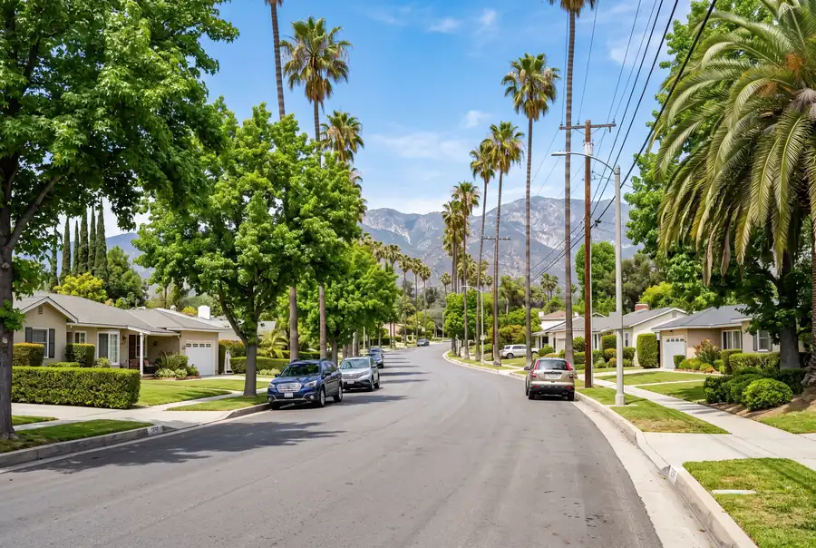 Sunny tree-lined street with a college campus feel in a Northridge-style neighborhood